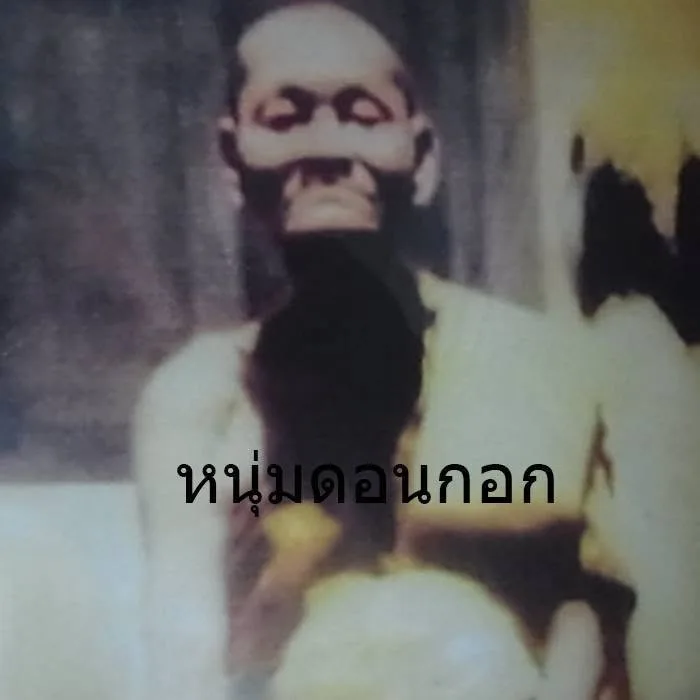 อาบยาสายบ้านหมากนาวเมืองไซธานี